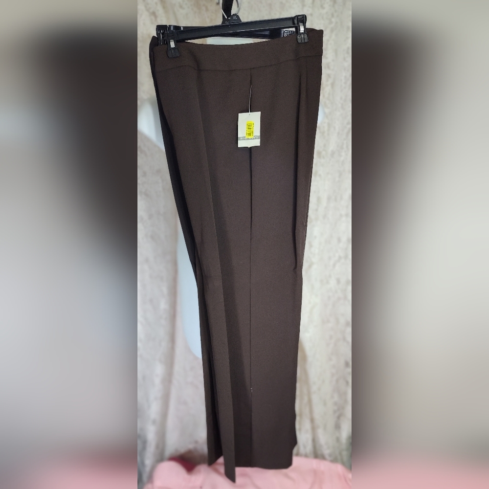 Brown pants Investments Sz 12. NWT